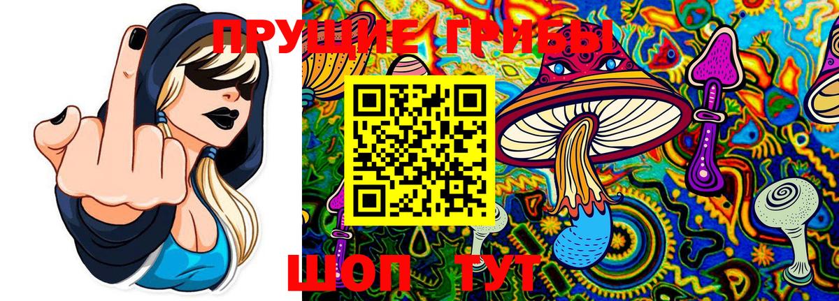 Лосино-Петровский  Псилоцибиновые грибы мухоморы  Вход с VPN  Галлюциногенные грибы GOLDEN TEACHER 